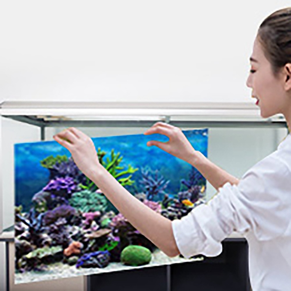 Aquarium Fish Poster - PVC Aquarium Achtergrond Poster Lijm Dikker