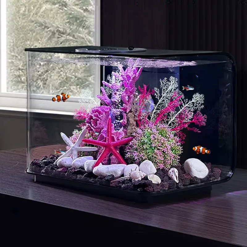 Aquarium Fish Supplier - Aquarium Woonkamer Kleine Visbak Leverancier Bureau