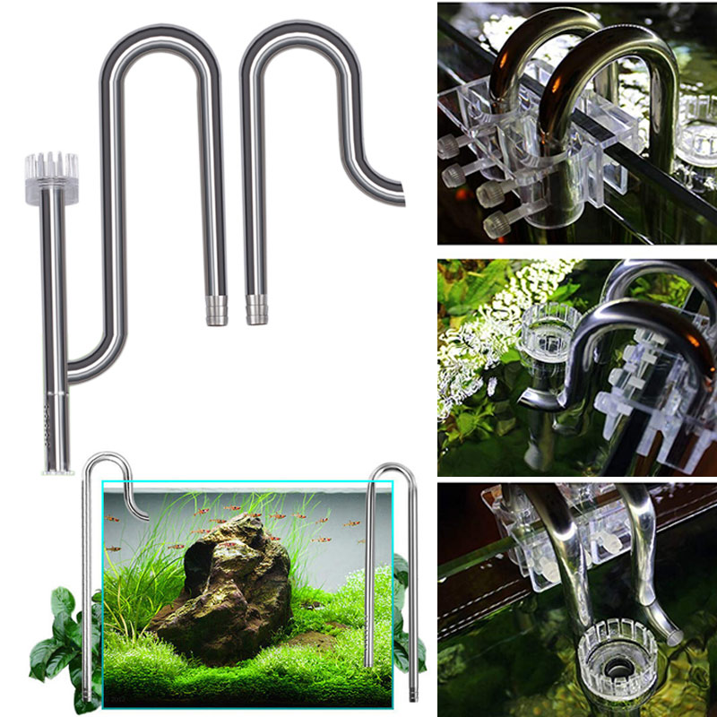 Aquarium Fish Images - Nieuwe Aquarium Lelie Pijp Rvs Instroom