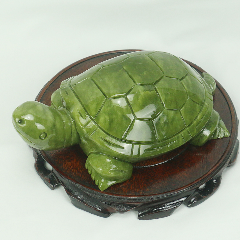 Natuurlijke Jade/schildpad Scu - Aquarium Fish Farm recensie en prijs
