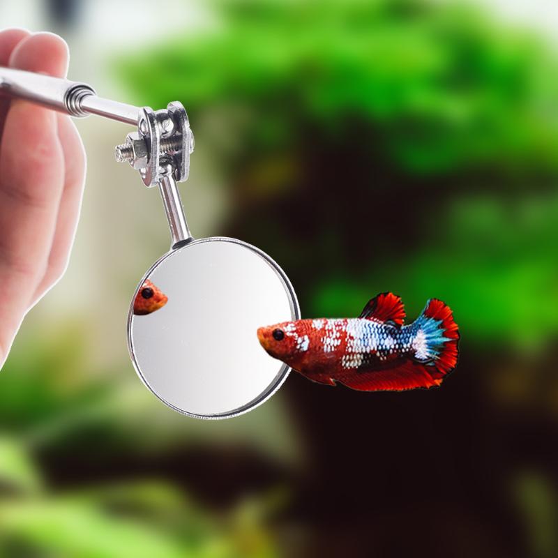 Schaalbare roestvrijstalen aqu - Aquarium Fish Cichlid recensie en prijs