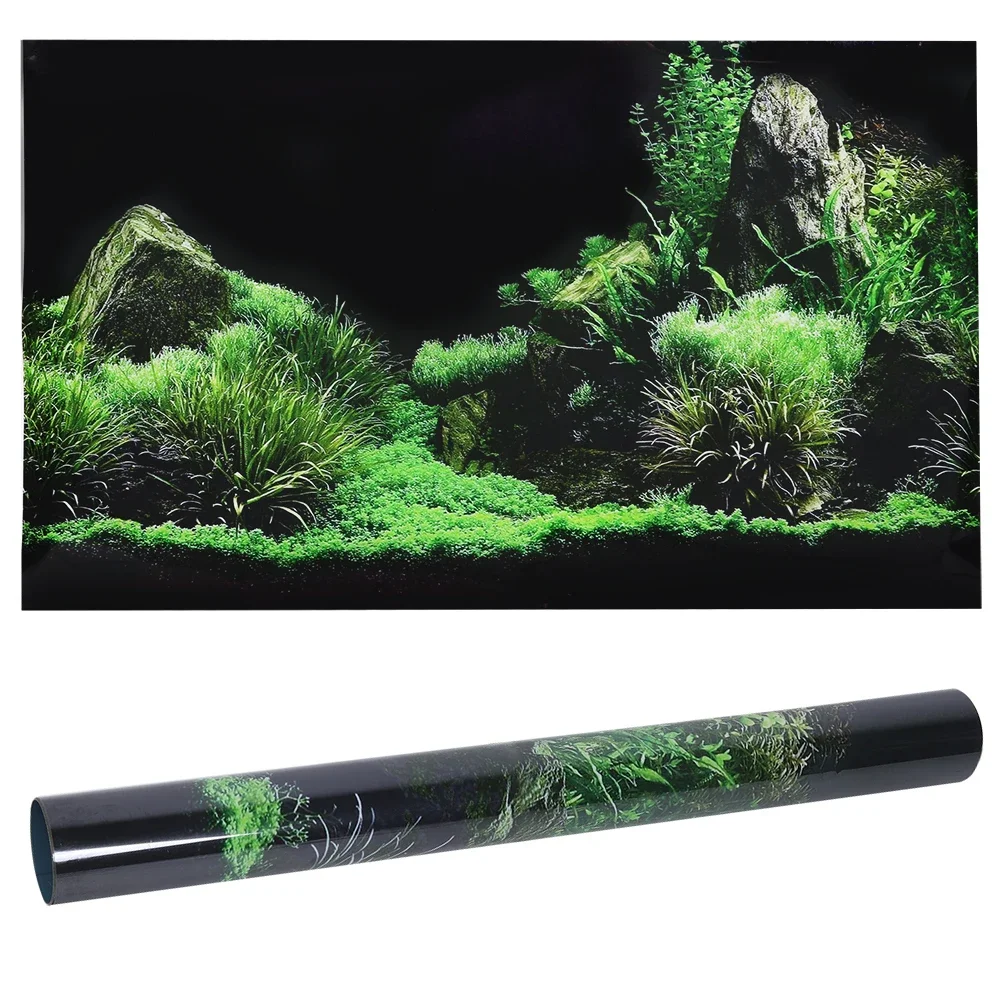Achtergrond Voor Aquarium 3d S - Aquarium Fish Poster recensie en prijs