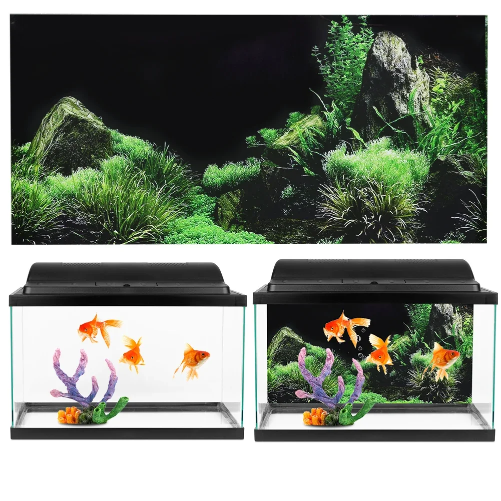 Achtergrond Voor Aquarium 3d S - Aquarium Fish Poster recensie en prijs