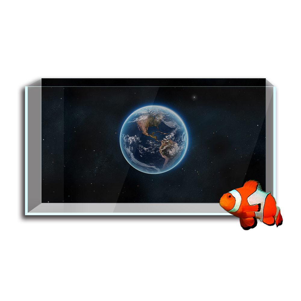 Aquarium Aquarium Achtergrond  - Aquarium Fish Poster recensie en prijs