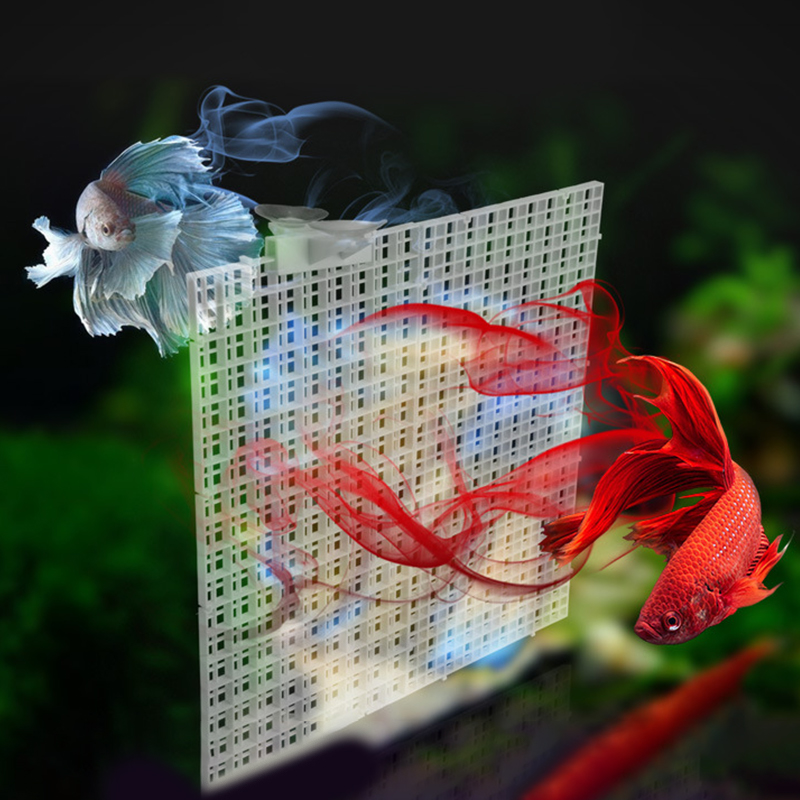 30X15Cm 30X30Cm Roosterverdeel - Aquarium Fish Images recensie en prijs