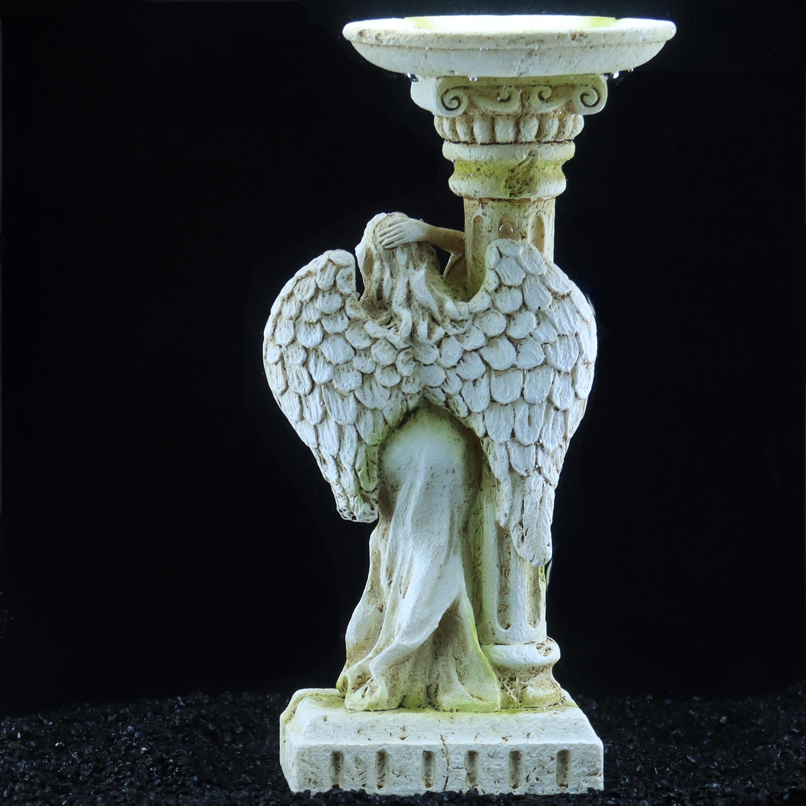 Romeinse engel, vintage romant - Aquarium Fish Angel recensie en prijs