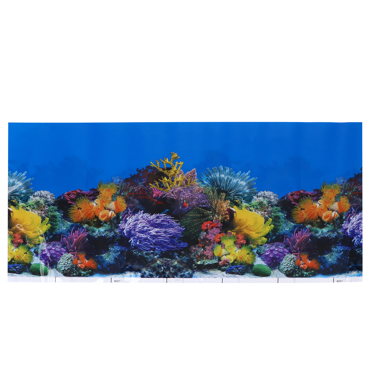 X Achtergrond Aquarium Achterg - Aquarium Fish Poster recensie en prijs