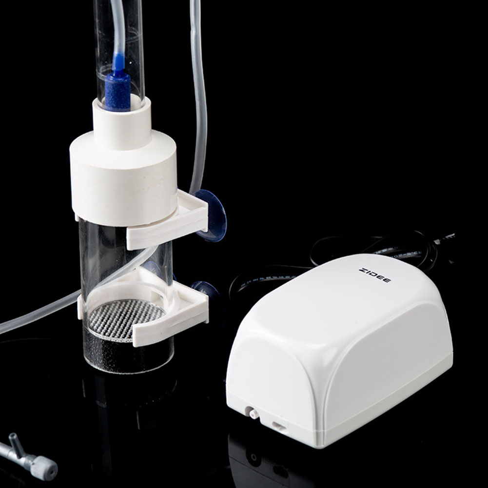 40mm Incubator Visbroederij Ei - Aquarium Fish Cichlid recensie en prijs