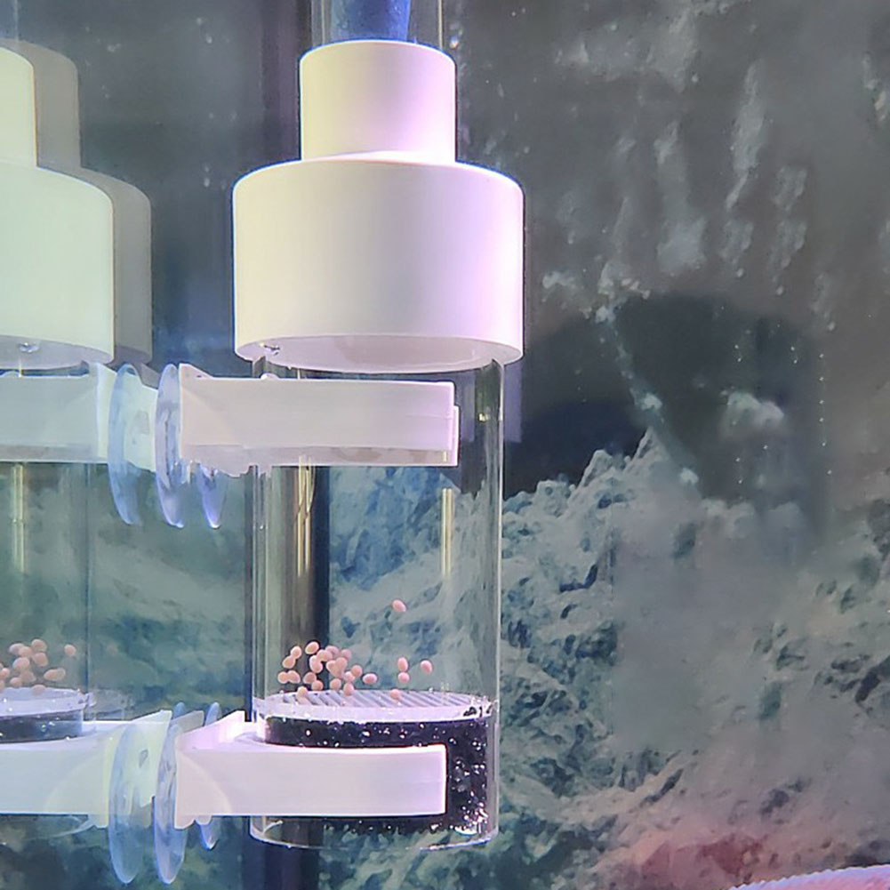 40mm Incubator Vis Incubator B - Aquarium Fish Cichlid recensie en prijs