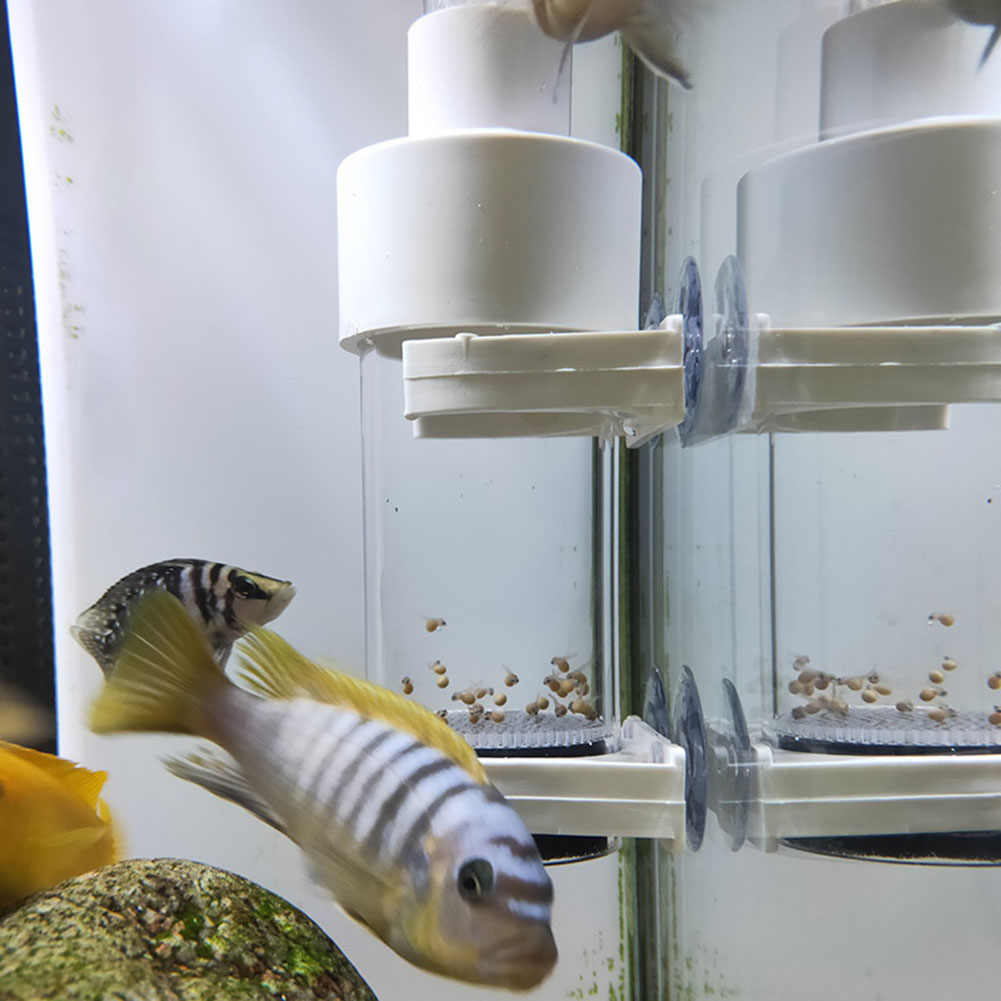 40mm Incubator Vis Incubator B - Aquarium Fish Cichlid recensie en prijs