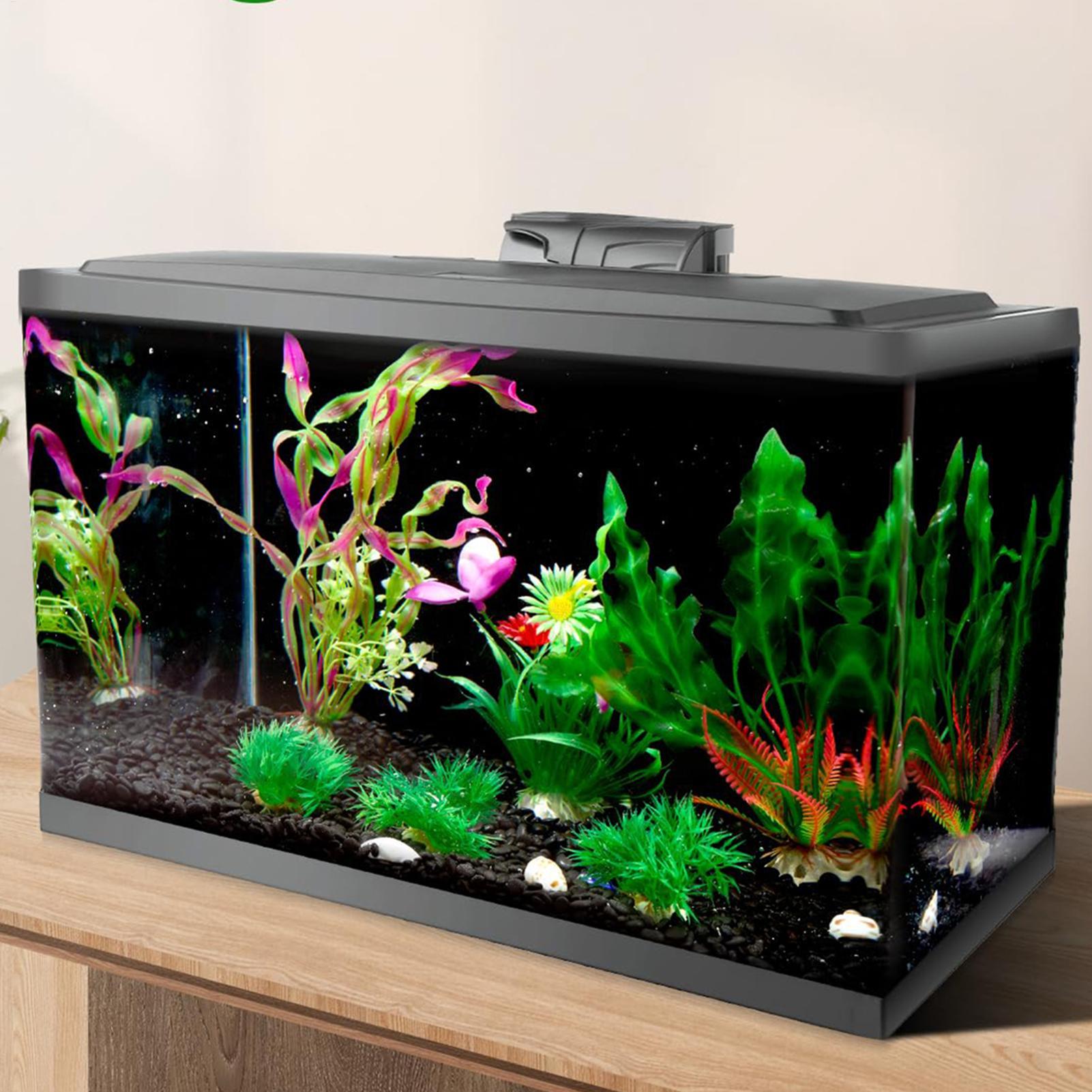 Zwarte aquarium achtergrond st - Aquarium Fish Poster recensie en prijs
