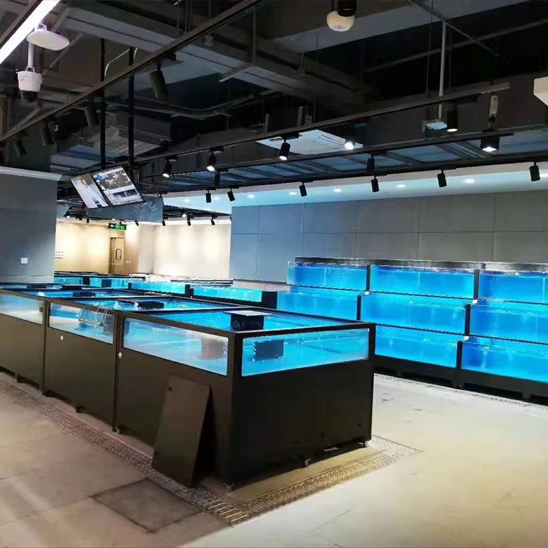 Vierkante Glazen Zoetwater Vis - Aquarium Xl recensie en prijs
