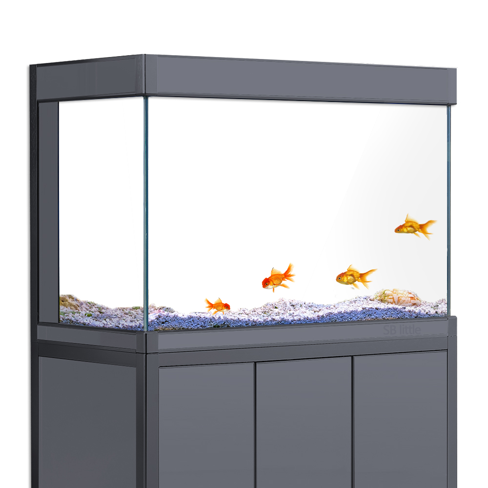 Aquariumachtergrond Statisch k - Aquarium Fish Poster recensie en prijs