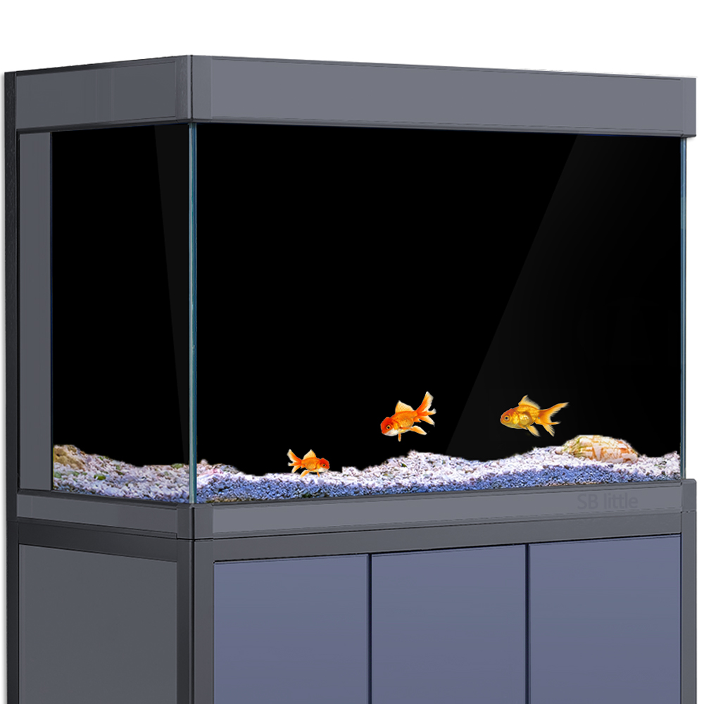 Aquariumachtergrond Statisch k - Aquarium Fish Poster recensie en prijs