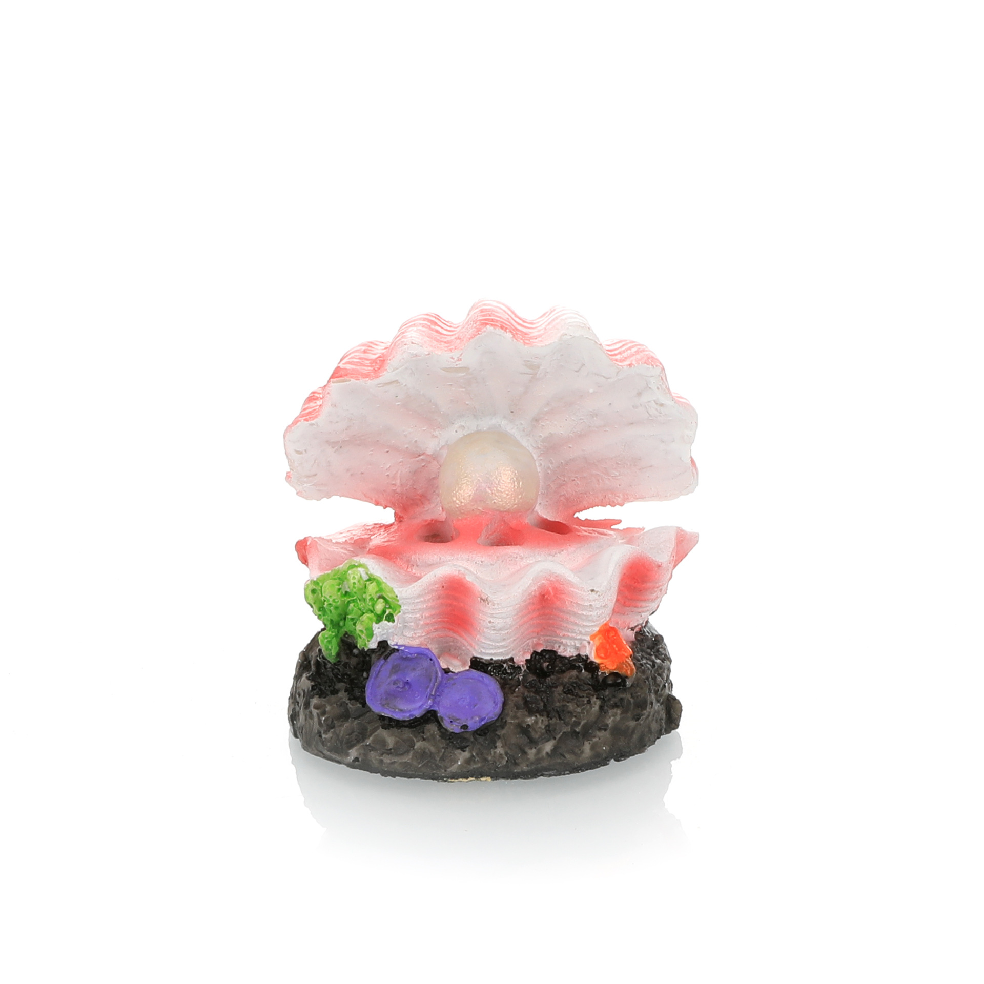Aquarium Landschapsarchitectuu - Aquarium Fish Cichlid recensie en prijs