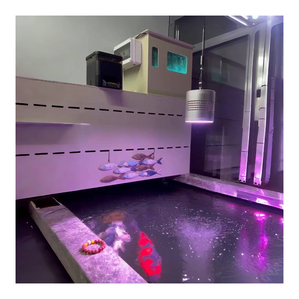 5000L/H Externe Aquarium Roter - Aquarium Fish Koi recensie en prijs