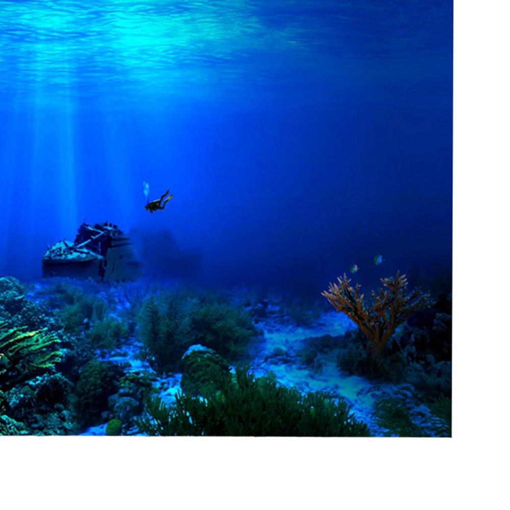 PVC Aquarium Achtergrond Poste - Aquarium Fish Poster recensie en prijs