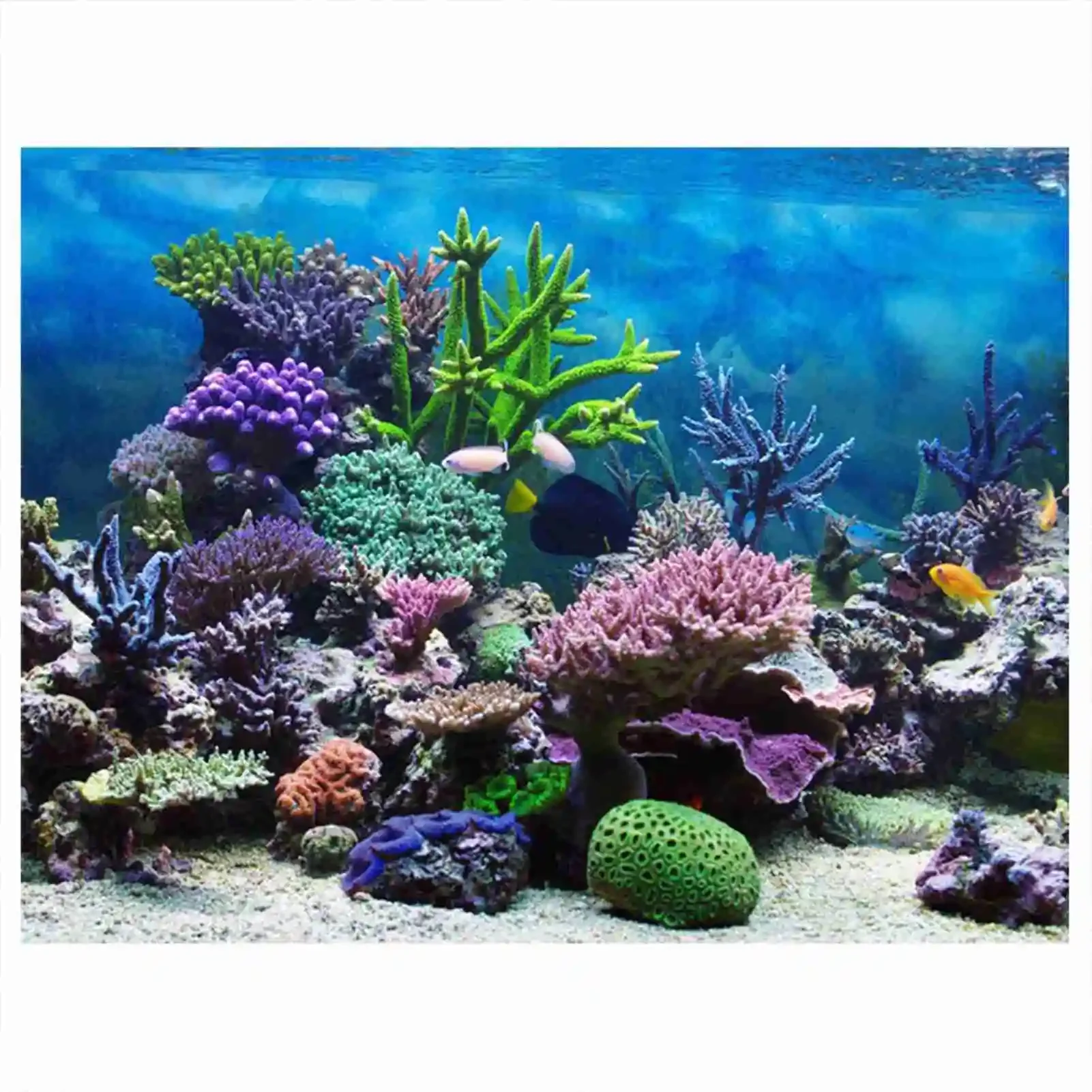 3d Aquarium Landschap Poster R - Aquarium Fish Poster recensie en prijs