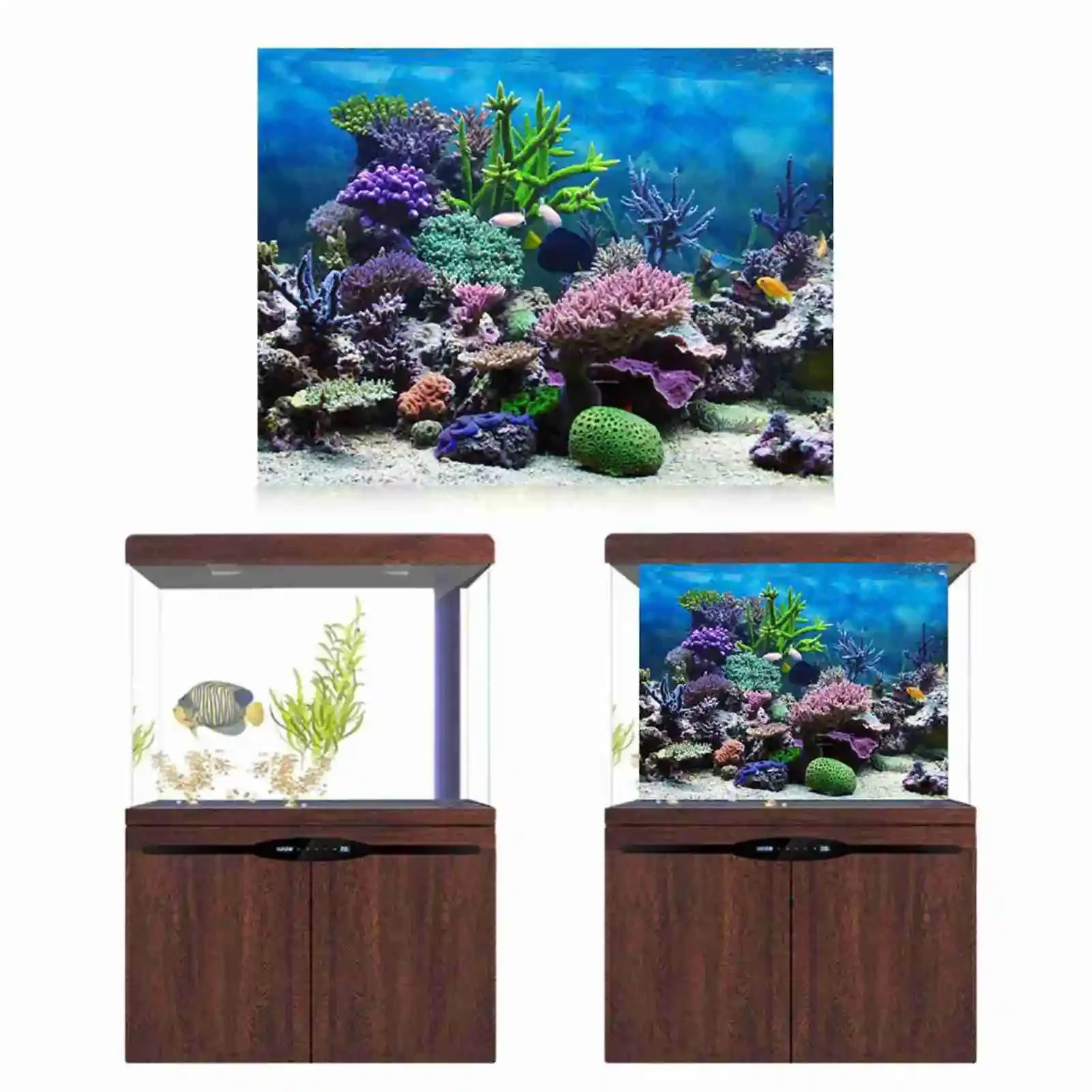 3d Aquarium Landschap Poster R - Aquarium Fish Poster recensie en prijs