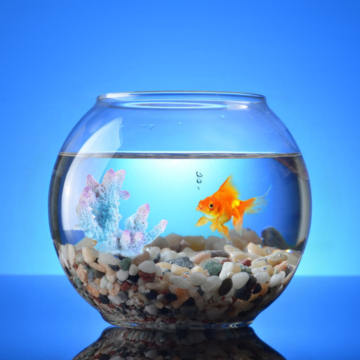 Creatief kunstmatig koraalrif  - Aquarium Xl recensie en prijs
