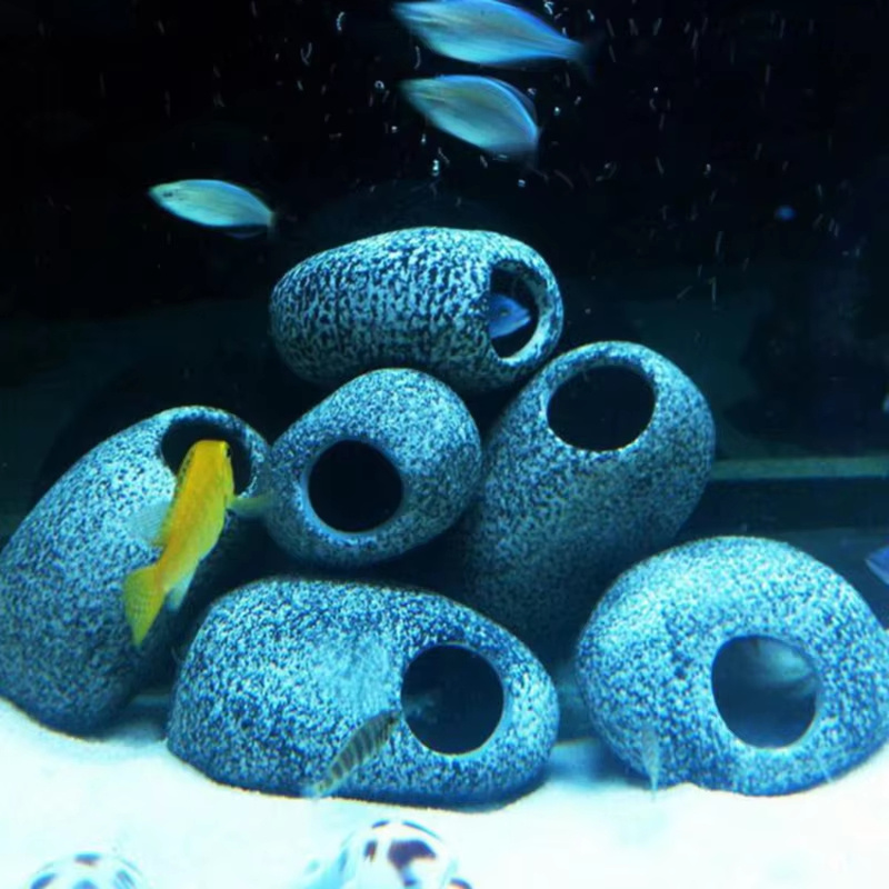 1/2 Stuks Aquarium Cichlide St - Aquarium Fish Cichlid recensie en prijs