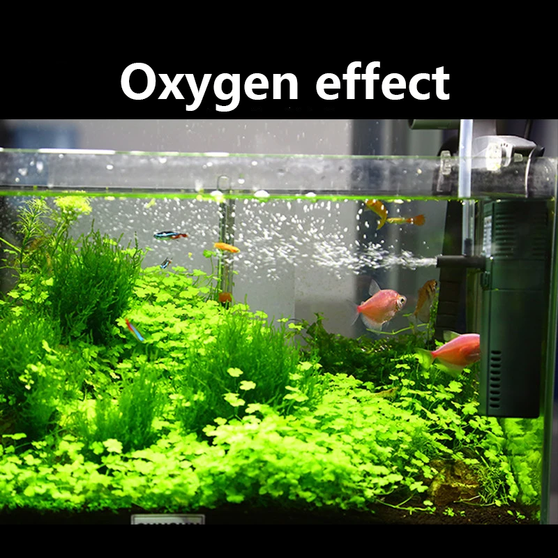 Sunsun Mini Nano 111b 311b 611 - Aquarium Fish Images recensie en prijs